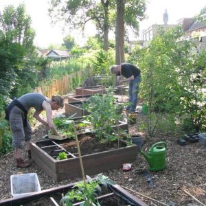 Groningen: Tuinieren in bakken, Hof van Reseda