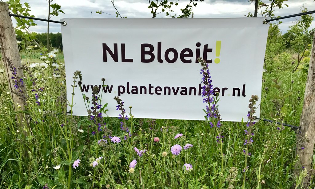 Open dag kwekerij NL Bloeit