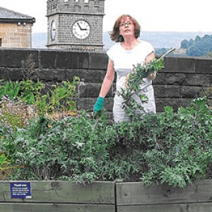 Pam Warhurst: How we can eat our landscapes