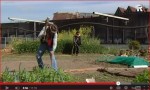 Documentaire Urban Agriculture