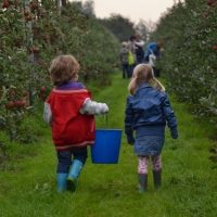 September: appels plukken bij De Woerdt