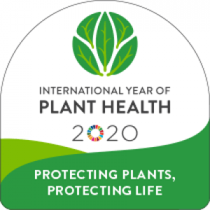 2020: Internationaal jaar van de gezondheid van planten